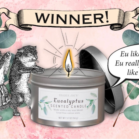 NEW rare Trader Joe’s Limited Edition  Soy Eucalyptus Blogger Fave Candle Winner - Picture 1 of 6